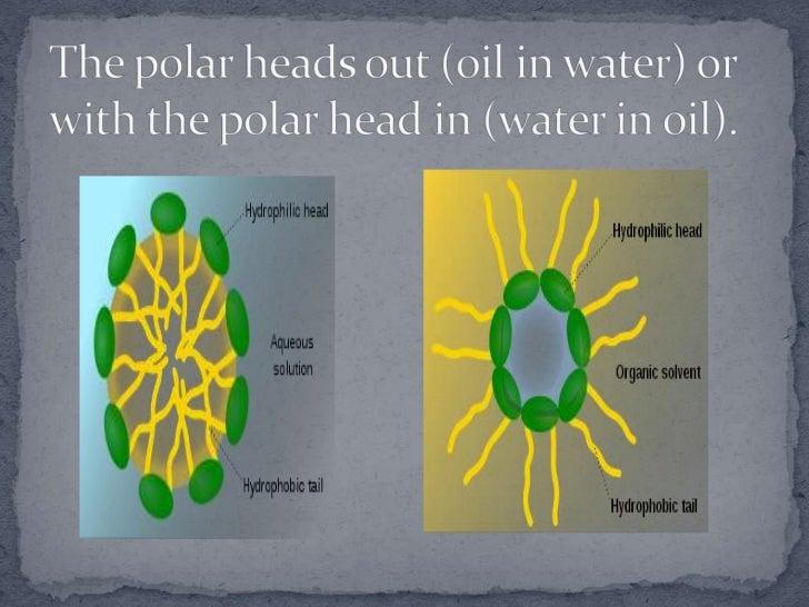 Surface active agents