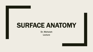 SURFACE ANATOMY
Dr. Mehwish
Lecture
 
