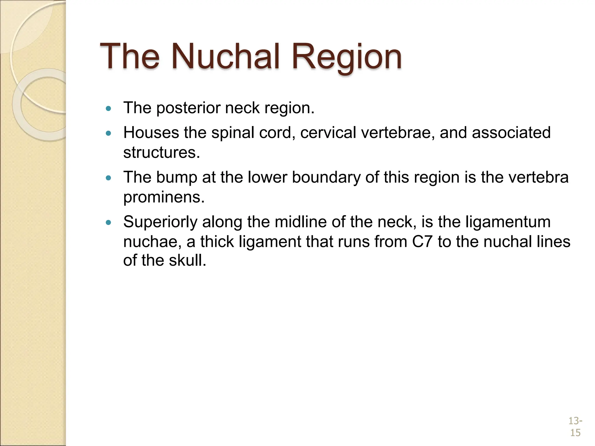 the Surface Anatomy of human body parts.ppt