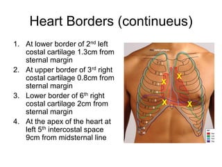 Surface Anatomy.pdf anatomyd 1st year proff | PDF