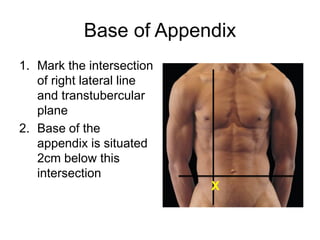 Surface Anatomy.pdf anatomyd 1st year proff | PDF