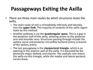 Surface anatomy areas.pptx