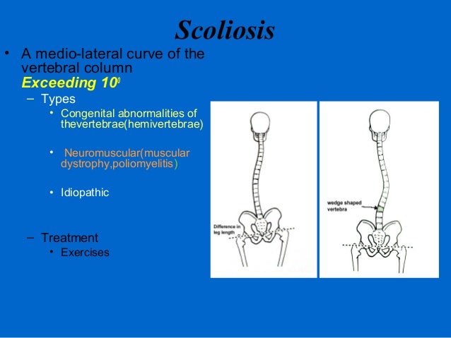 surface anatomy of back surface anatomy of back