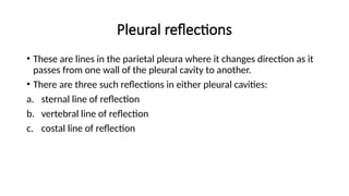 Sternal Reflection Normal Surface Anatomy of The Chest.pptx