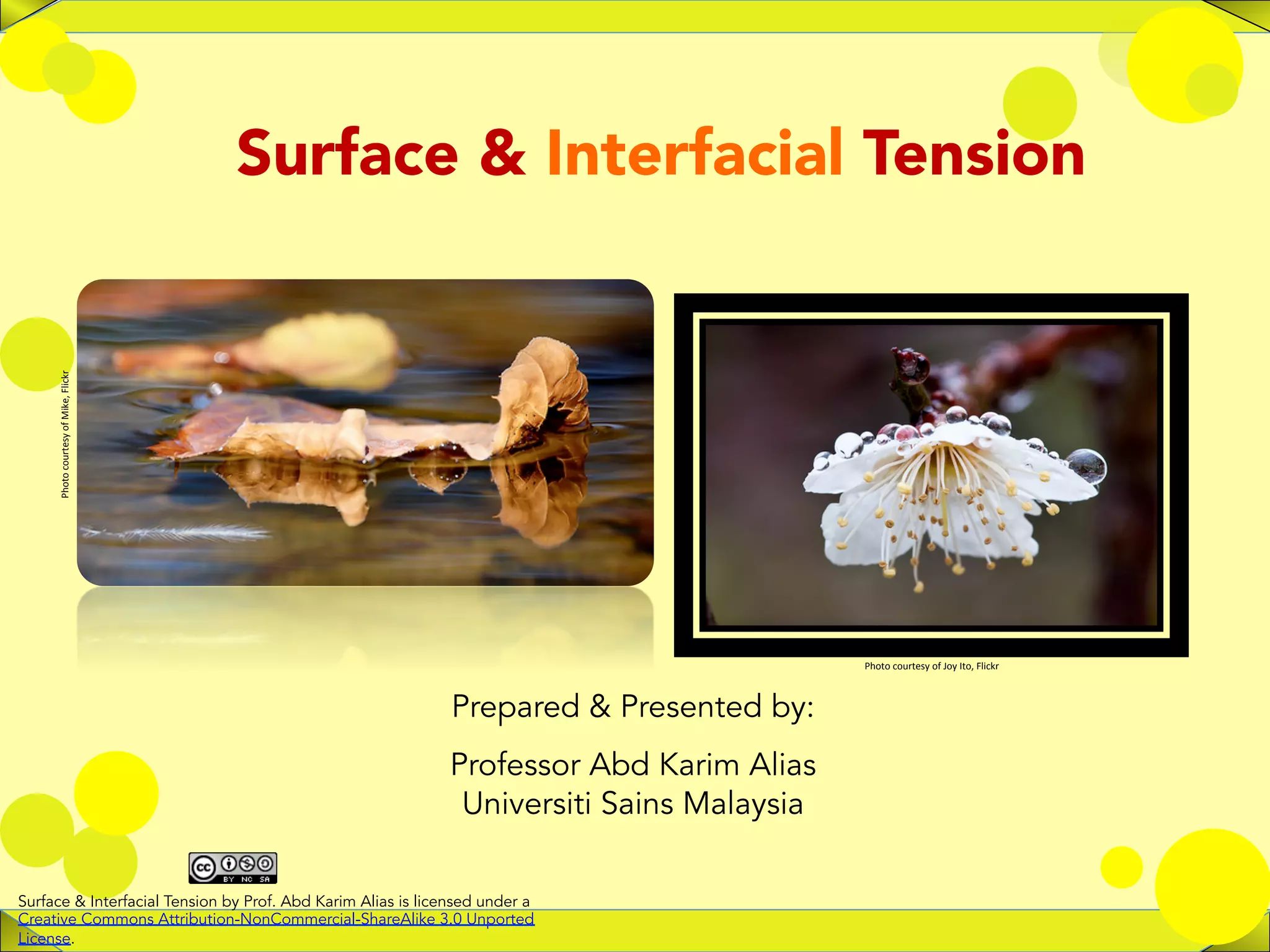 Surface and interfacial tension PPT