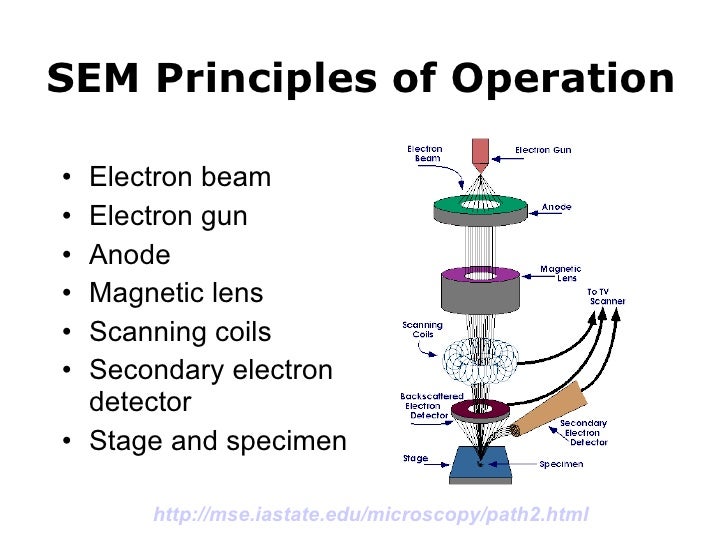 Surface and Materials Analysis Techniques