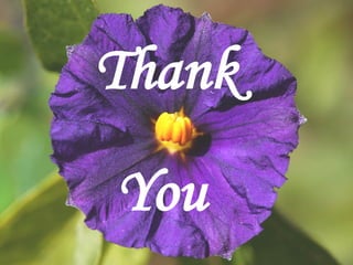 Thank
You
 