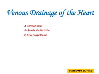 Venous Drainage of the Heart
A- Coronary Sinus
B- Anterior Cardiac Veins
C- Vena Cordis Minimi
 