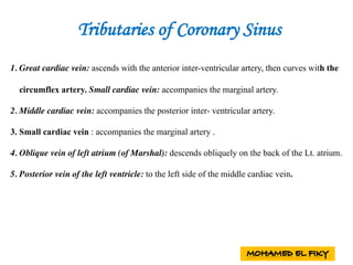Tributaries of Coronary Sinus
1. Great cardiac vein: ascends with the anterior inter-ventricular artery, then curves with the
circumflex artery. Small cardiac vein: accompanies the marginal artery.
2. Middle cardiac vein: accompanies the posterior inter- ventricular artery.
3. Small cardiac vein : accompanies the marginal artery .
4. Oblique vein of left atrium (of Marshal): descends obliquely on the back of the Lt. atrium.
5. Posterior vein of the left ventricle: to the left side of the middle cardiac vein.
 
