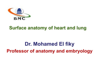 Surface anatomy of heart and lung
Dr. Mohamed El fiky
Professor of anatomy and embryology
 