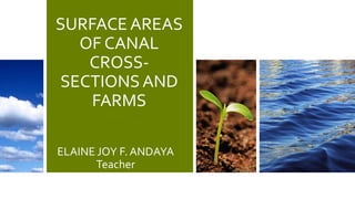 SURFACE AREAS
OF CANAL
CROSS-
SECTIONS AND
FARMS
ELAINE JOY F. ANDAYA
Teacher
 