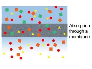 Membrane Absorption Parallel Surface chemistry | PPTX