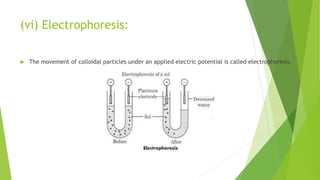 (vi) Electrophoresis:
 The movement of colloidal particles under an applied electric potential is called electrophoresis.
 