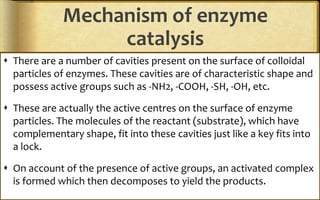 Mechanism of enzyme
catalysis
 There are a number of cavities present on the surface of colloidal
particles of enzymes. These cavities are of characteristic shape and
possess active groups such as -NH2, -COOH, -SH, -OH, etc.
 These are actually the active centres on the surface of enzyme
particles. The molecules of the reactant (substrate), which have
complementary shape, fit into these cavities just like a key fits into
a lock.
 On account of the presence of active groups, an activated complex
is formed which then decomposes to yield the products.
 
