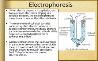 Electrophoresis
 When electric potential is applied across
two platinum electrodes dipping in a
colloidal solution, the colloidal particles
move towards one or the other electrode.
 The movement of colloidal particles
under an applied electric potential is
called electrophoresis. Positively charged
particles move towards the cathode while
negatively charged particles move
towards the anode
 When electrophoresis that is.,movement
of particles is prevented by some suitable
means, it is observed that the dispersion
medium begins to move in an electric
field. This phenomenon is termed
electroosmosis.
 
