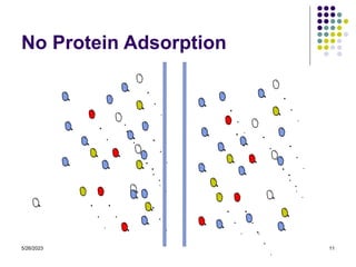 5/26/2023 11
No Protein Adsorption
 