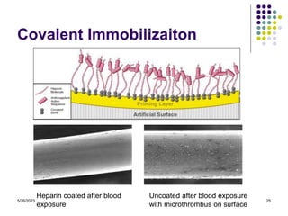 5/26/2023 25
Covalent Immobilizaiton
Heparin coated after blood
exposure
Uncoated after blood exposure
with microthrombus on surface
 