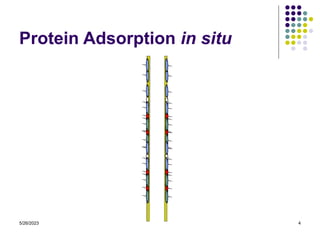 5/26/2023 4
Protein Adsorption in situ
 