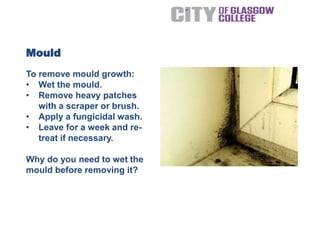 To remove mould growth:
• Wet the mould.
• Remove heavy patches
with a scraper or brush.
• Apply a fungicidal wash.
• Leave for a week and re-
treat if necessary.
Why do you need to wet the
mould before removing it?
Mould
 