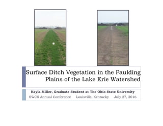 Surface Ditch Vegetation in the Paulding
Plains of the Lake Erie Watershed
Kayla Miller, Graduate Student at The Ohio State University
SWCS Annual Conference Louisville, Kentucky July 27, 2016
 