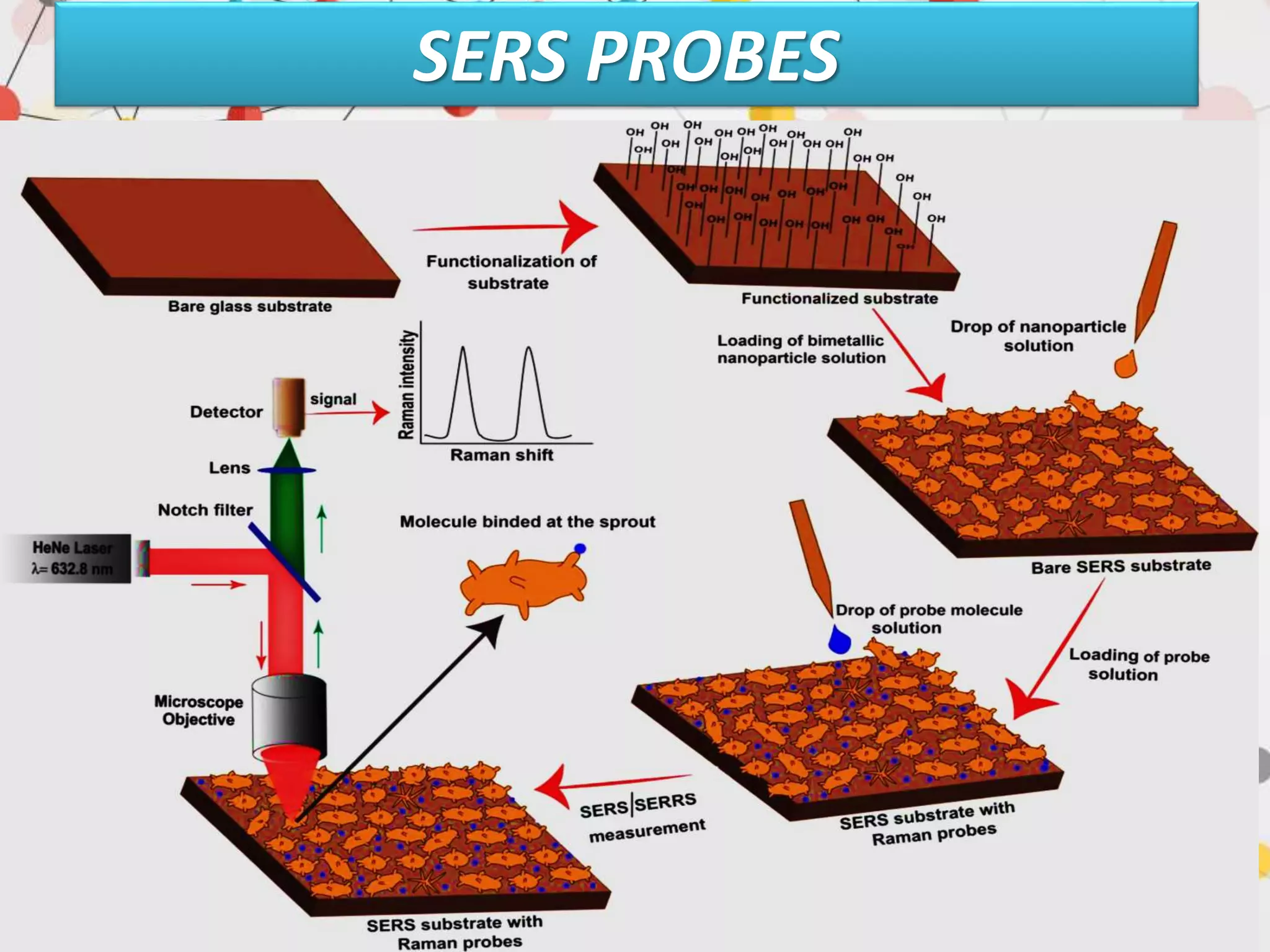 SERS PROBES
 