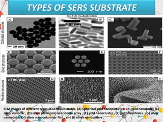 surfaceenhancedramanspectroscopyrahutoshranjan-200729070828 (4).pdf