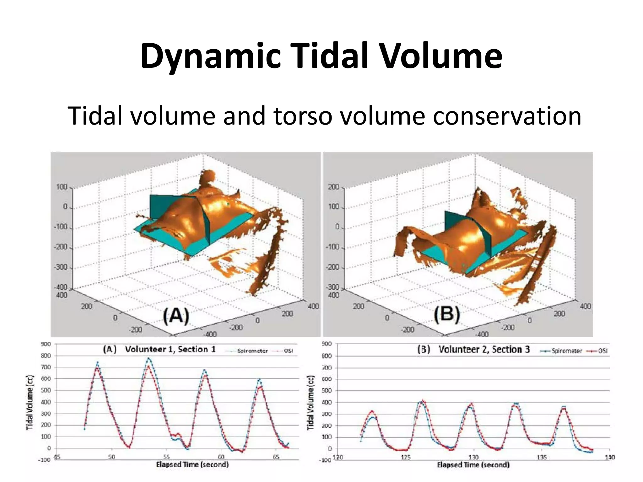 Dynamic Tidal Volume
Tidal volume and torso volume conservation
 
