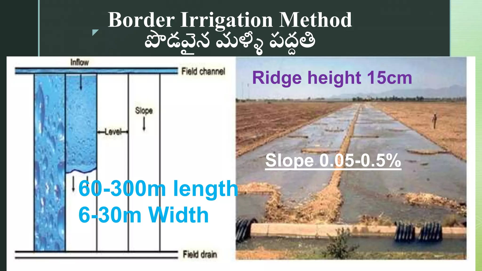 z
Border Irrigation Method
పొడవ
ై న్ మళ్ళీ పద్
ద తి
60-300m length
6-30m Width
Slope 0.05-0.5%
Ridge height 15cm
 