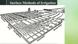 z
Surface Methods of Irrigation
 