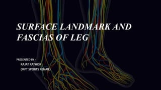 SURFACE LANDMARK AND
FASCIAS OF LEG
PRESENTED BY -
RAJAT RATHOR
(MPT SPORTS REHAB.)
 