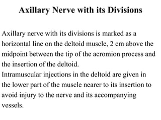Axillary Nerve with its Divisions
Axillary nerve with its divisions is marked as a
horizontal line on the deltoid muscle, 2 cm above the
midpoint between the tip of the acromion process and
the insertion of the deltoid.
Intramuscular injections in the deltoid are given in
the lower part of the muscle nearer to its insertion to
avoid injury to the nerve and its accompanying
vessels.
 