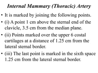 Internal Mammary (Thoracic) Artery
• It is marked by joining the following points.
• (i) A point 1 cm above the sternal end of the
clavicle, 3.5 cm from the median plane.
• (ii) Points marked over the upper 6 costal
cartilages at a distance of 1.25 cm from the
lateral sternal border.
• (iii) The last point is marked in the sixth space
1.25 cm from the lateral sternal border.
 