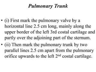Pulmonary Trunk
• (i) First mark the pulmonary valve by a
horizontal line 2.5 cm long, mainly along the
upper border of the left 3rd costal cartilage and
partly over the adjoining part of the sternum.
• (ii) Then mark the pulmonary trunk by two
parallel lines 2.5 cm apart from the pulmonary
orifice upwards to the left 2nd costal cartilage.
 