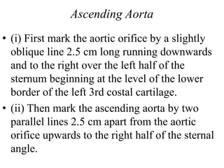 Ascending Aorta
• (i) First mark the aortic orifice by a slightly
oblique line 2.5 cm long running downwards
and to the right over the left half of the
sternum beginning at the level of the lower
border of the left 3rd costal cartilage.
• (ii) Then mark the ascending aorta by two
parallel lines 2.5 cm apart from the aortic
orifice upwards to the right half of the sternal
angle.
 