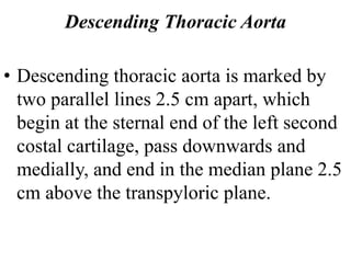 Descending Thoracic Aorta
• Descending thoracic aorta is marked by
two parallel lines 2.5 cm apart, which
begin at the sternal end of the left second
costal cartilage, pass downwards and
medially, and end in the median plane 2.5
cm above the transpyloric plane.
 