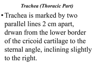 Trachea (Thoracic Part)
•Trachea is marked by two
parallel lines 2 cm apart,
drwan from the lower border
of the cricoid cartilage to the
sternal angle, inclining slightly
to the right.
 