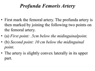 Profunda Femoris Artery
• First mark the femoral artery. The profunda artery is
then marked by joining the following two points on
the femoral artery.
• (a) First point: .5cm below the midinguinalpoint.
• (b) Second point: 10 cm below the midinguinal
point.
• The artery is slightly convex laterally in its upper
part.
 