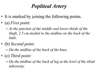 Popliteal Artery
• It is marked by joining the following points.
• (a) First point:
– At the junction of the middle and lower thirds of the
thigh, 2.5 cm medial to the midline on the back of the
limb.
• (b) Second point:
– On the midline of the back of the knee.
• (c) Third point:
– On the midline of the back of leg at the level of the tibial
tuberosity.
 