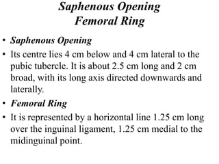 Saphenous Opening
Femoral Ring
• Saphenous Opening
• Its centre lies 4 cm below and 4 cm lateral to the
pubic tubercle. It is about 2.5 cm long and 2 cm
broad, with its long axis directed downwards and
laterally.
• Femoral Ring
• It is represented by a horizontal line 1.25 cm long
over the inguinal ligament, 1.25 cm medial to the
midinguinal point.
 