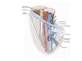 surfacemarking-181017055755.pdf