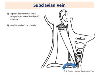 Subclavian Vein
1) a point little medial to its
midpoint to lower border of
clavicle
2) medial end of the clavicle
A K Datta Human Anatomy 4th ed
 