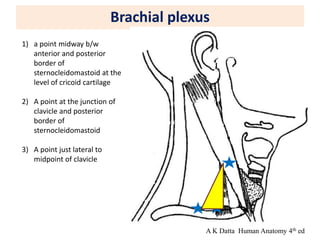 Brachial plexus
1) a point midway b/w
anterior and posterior
border of
sternocleidomastoid at the
level of cricoid cartilage
2) A point at the junction of
clavicle and posterior
border of
sternocleidomastoid
3) A point just lateral to
midpoint of clavicle
A K Datta Human Anatomy 4th ed
 