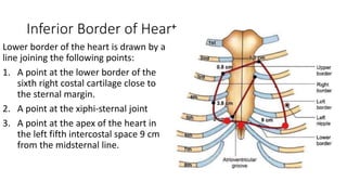 Inferior Border of Heart
Lower border of the heart is drawn by a
line joining the following points:
1. A point at the lower border of the
sixth right costal cartilage close to
the sternal margin.
2. A point at the xiphi-sternal joint
3. A point at the apex of the heart in
the left fifth intercostal space 9 cm
from the midsternal line.
 