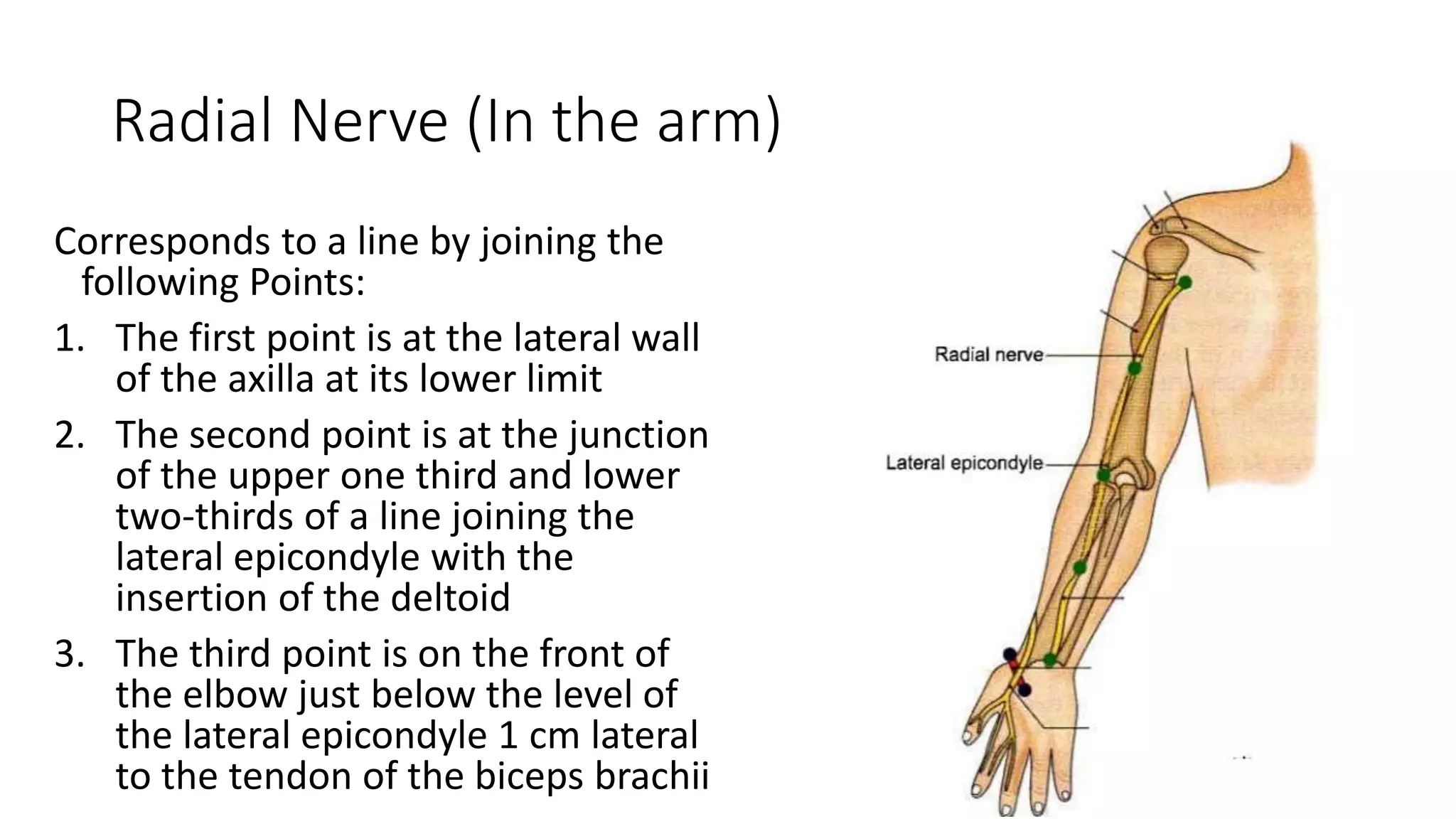 Surface marking upper limb | PPTX