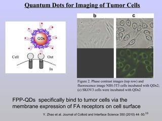 Surface Modification of Nanoparticles for Biomedical Applications | PPT