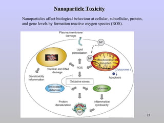 Surface Modification of Nanoparticles for Biomedical Applications | PPT