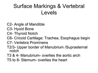 Surface Markings & Vertebral
             Levels

C2- Angle of Mandible
C3- Hyoid Bone
C4- Thyroid Notch
C6- Cricoid Cartilage; Trachea, Esophagus begin
C7- Vertebra Prominens
T2/3- Upper border of Manubrium /Suprasternal
 notch
T3 & 4- Manubrium- overlies the aortic arch
T5 to 8- Sternum- overlies the heart
 