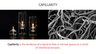 Surface tension--Wetting Phenomena--Capillarity | PPTX