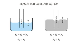 Surface tension--Wetting Phenomena--Capillarity | PPTX