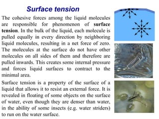 Surface Tension.ppt
